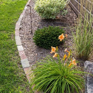 Landscape Edging