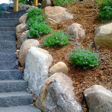 Outdoor Stairways Ideas