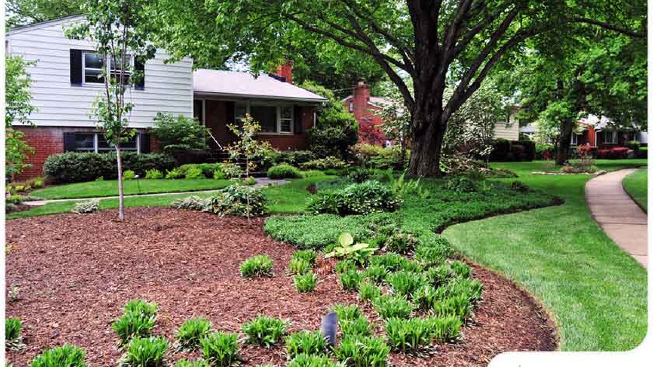 3 Reasons Why Adding Trees to Your Landscape Is Ideal